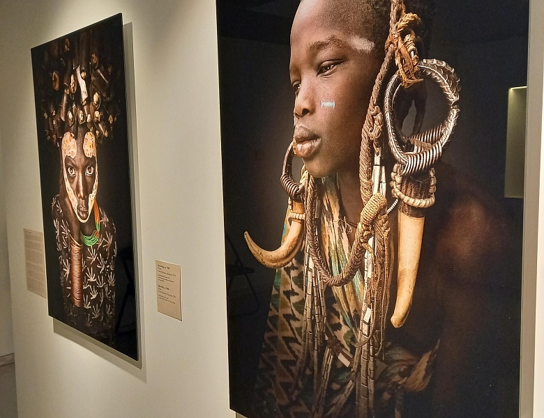 Посещение выставки "Перевернутое сафари.Современное искусство Африки"