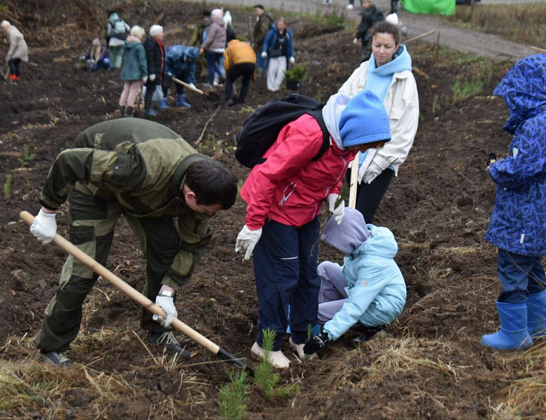 Участие в Мероприятии по посадке деревьев в Татарстане - "Урман Фест"